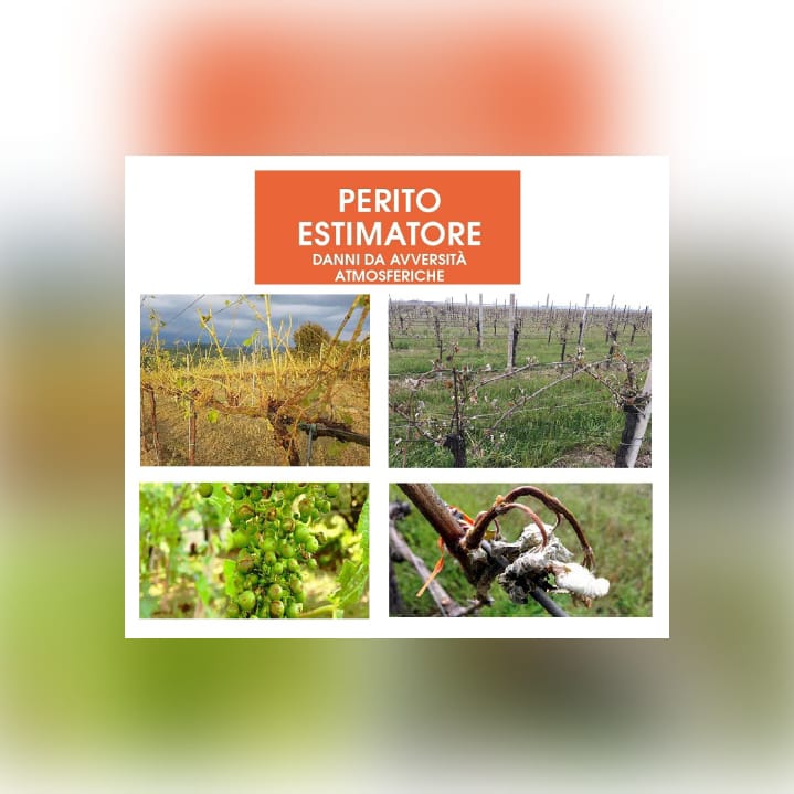 CNGeGL: Invio programmi Corsi Cerletti 2024