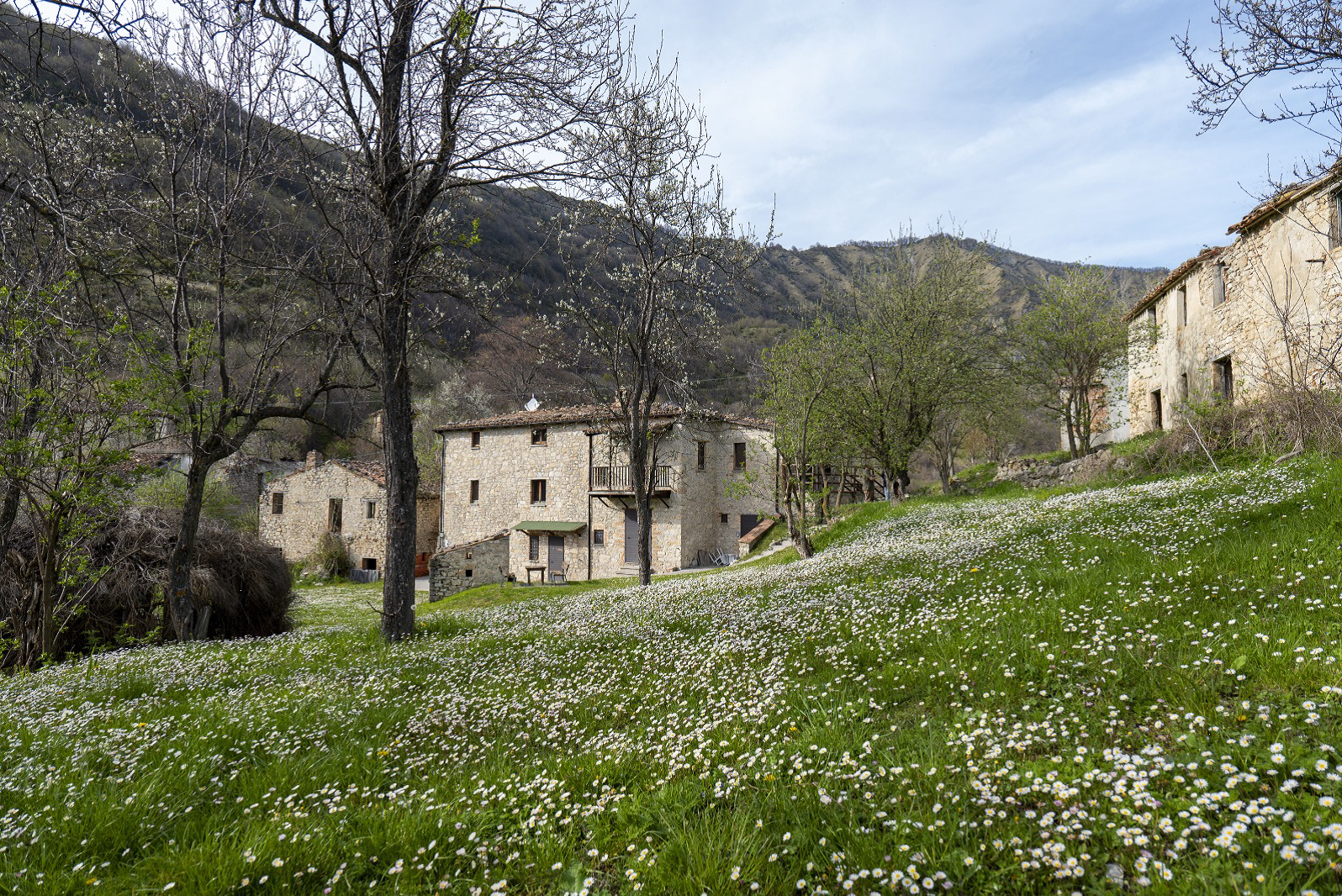 Seminario: Rilievo 3D per il recupero di un borgo abbandonato - Torricella Sicura (TE) 17.07.2024 - n. 4 cfp